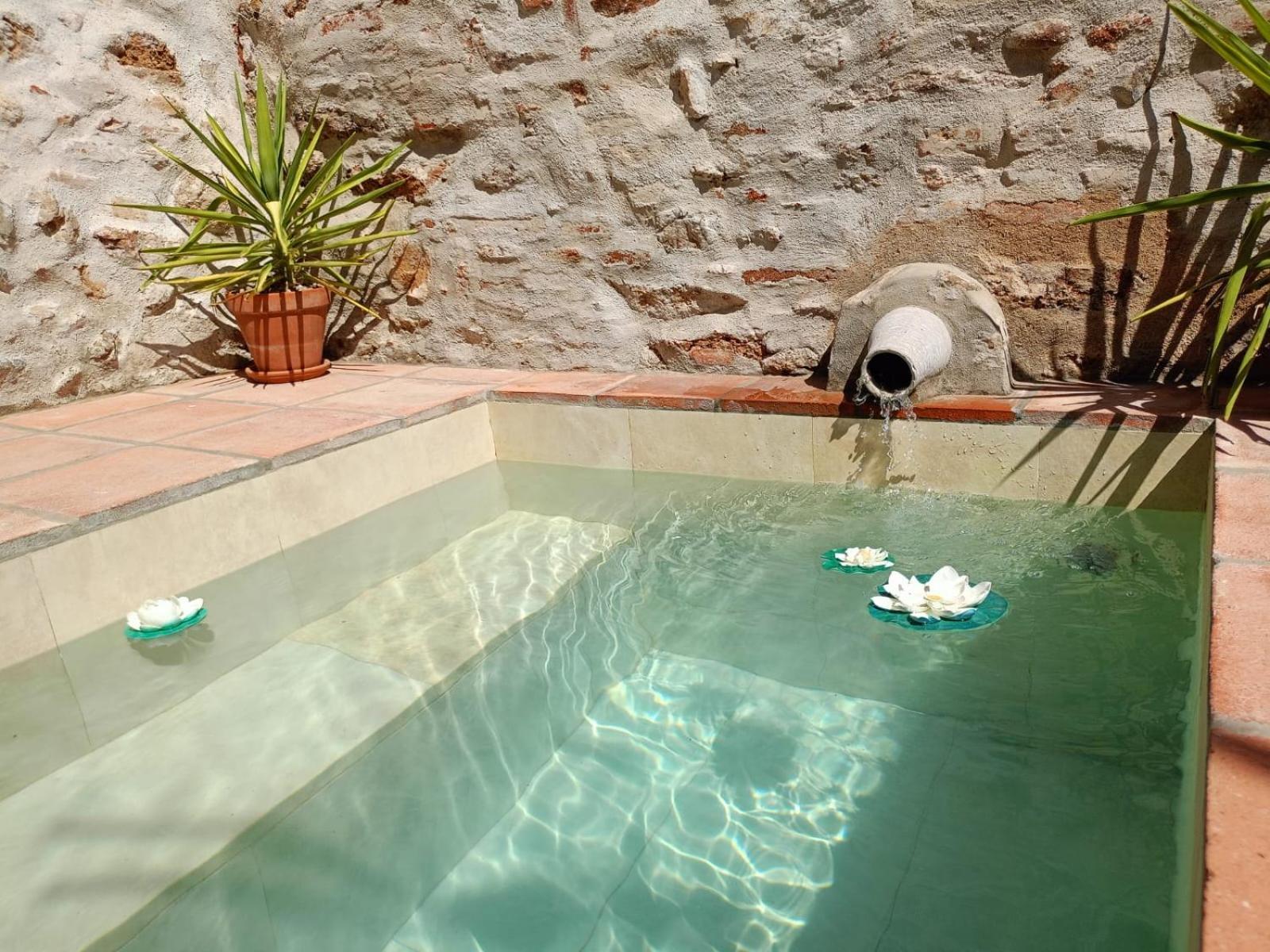 Casa Rural El Palomar Ел Педросо Екстериор снимка